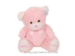12'' Baby Girl Pink Embroidered Bear Soft Toy