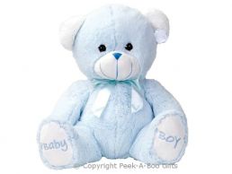 17'' Baby Boy Blue Embroidered Soft Pile Bear Soft Toy